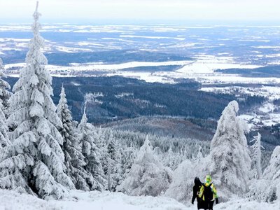Gdzie na zimowe wycieczki? W tych miejscach śnieg jest gwarantowany