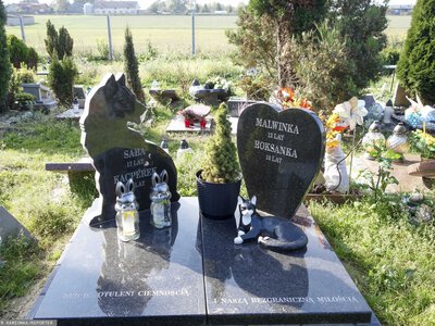 Cmentarze dla zwierząt. Tyle kosztuje pochówek psa lub kota