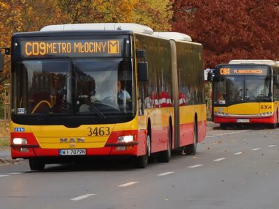 Nowość na Wszystkich Świętych w Warszawie. Kolory wskażą drogę