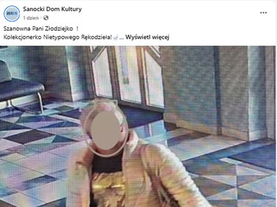 Ukradła deskę sedesową z domu kultury. Finał tej historii zaskoczył wszystkich