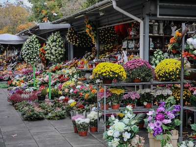 Baza wojsk USA w Polsce coraz bliżej? „Duży wpływ prezydenta”