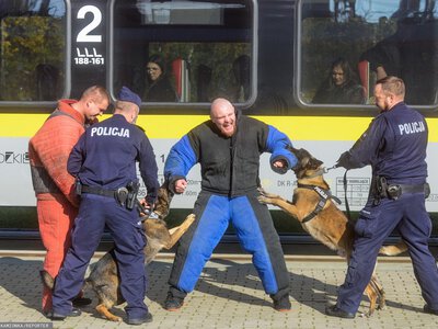 5400 na rękę i prawie 2 tys. na mieszkanie. I to na start
