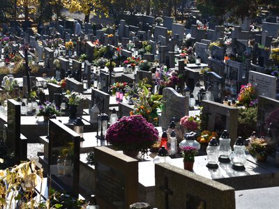 Wzrost o 46 proc. To nowy cmentarny hit