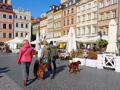 Pracujący w gospodarce. GUS pokazał najnowsze dane o zatrudnieniu