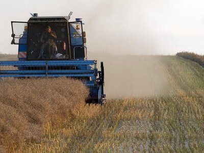 Susza to już stały koszt polskiej gospodarki. Miliardy wyparowują z budżetu